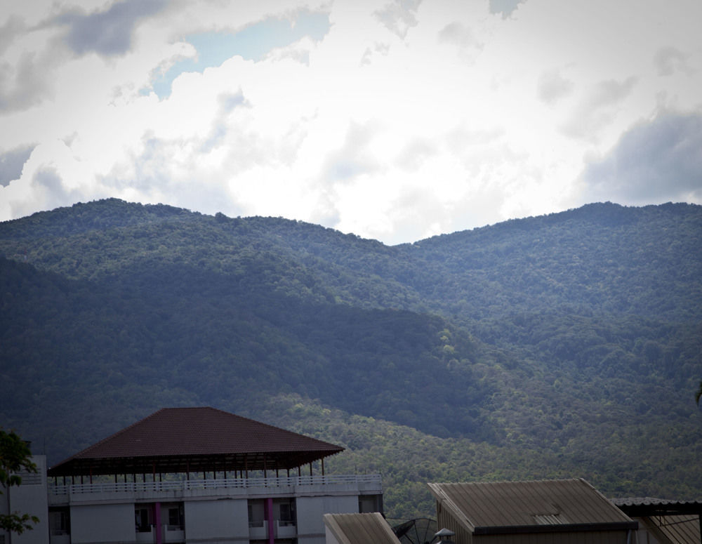 The Nimman13 Guesthouse Chiang Mai Zewnętrze zdjęcie
